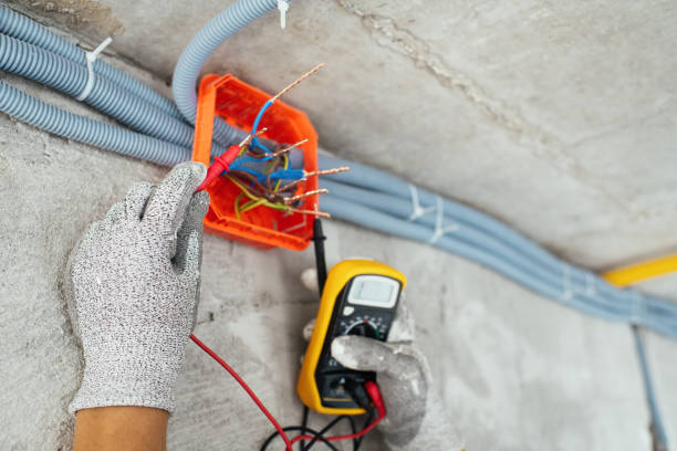 Best Local Electrician Companies  in Fernley, NV